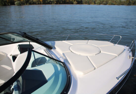 Viper Powerboats V 233 (24)