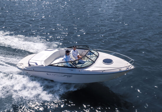 Viper_ V 233 (1)